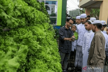 Teknologi Hidroponik